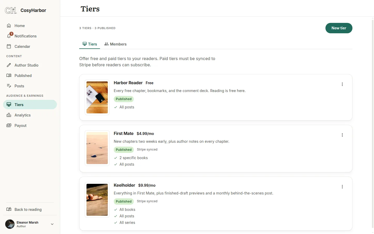 An author's subscription tiers in the studio.